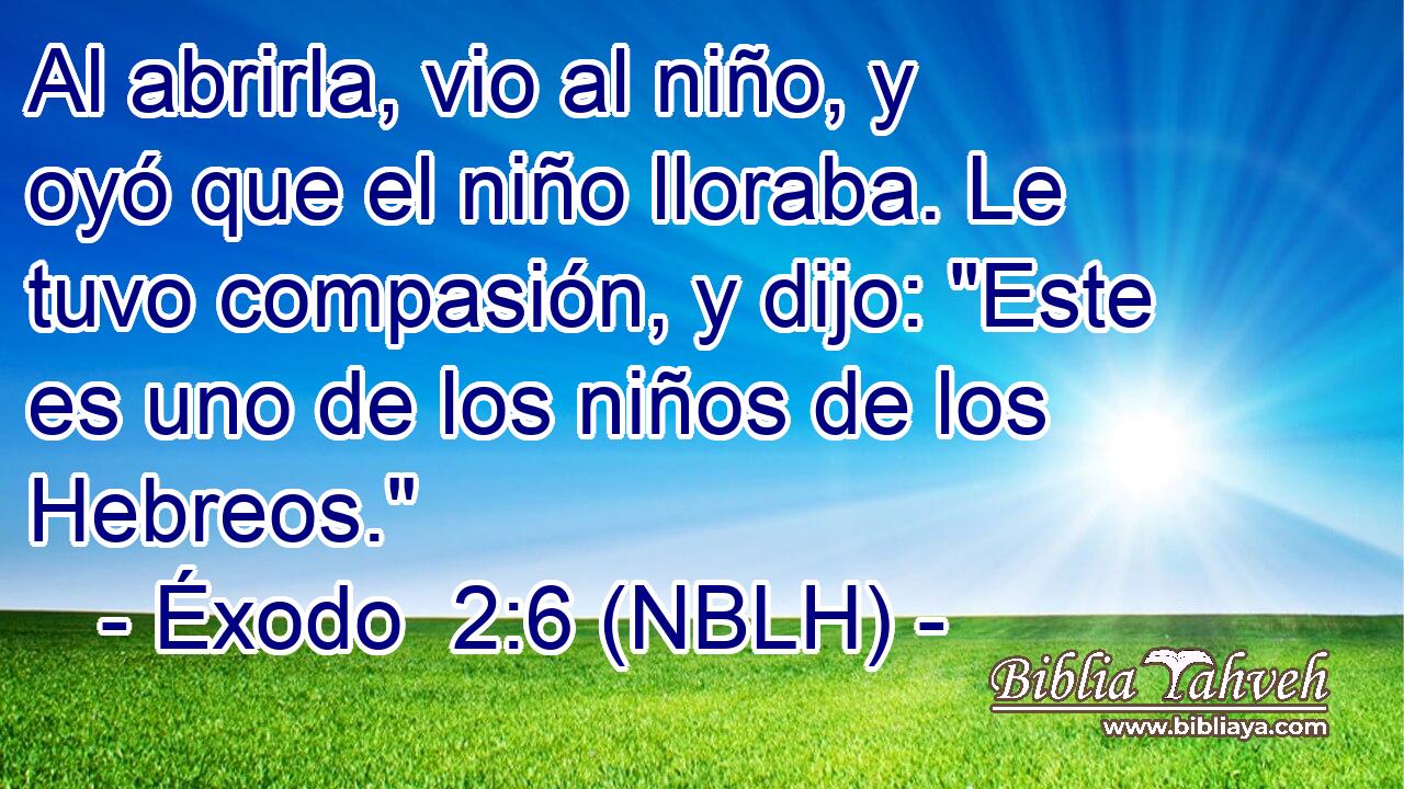  Al abrirla, vio al niño, y oyó que el niño lloraba. Le tuvo compasión, y dijo: 