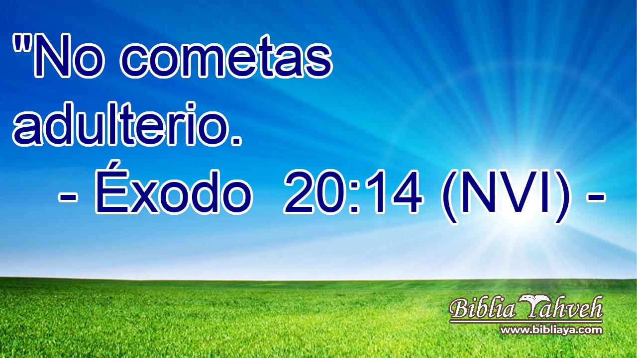 xodo-20-14-nvi-no-cometas-adulterio