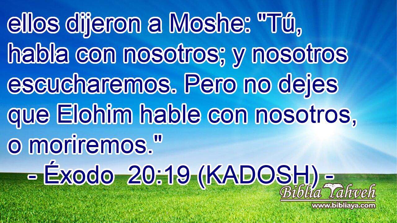  ellos dijeron a Moshe: 