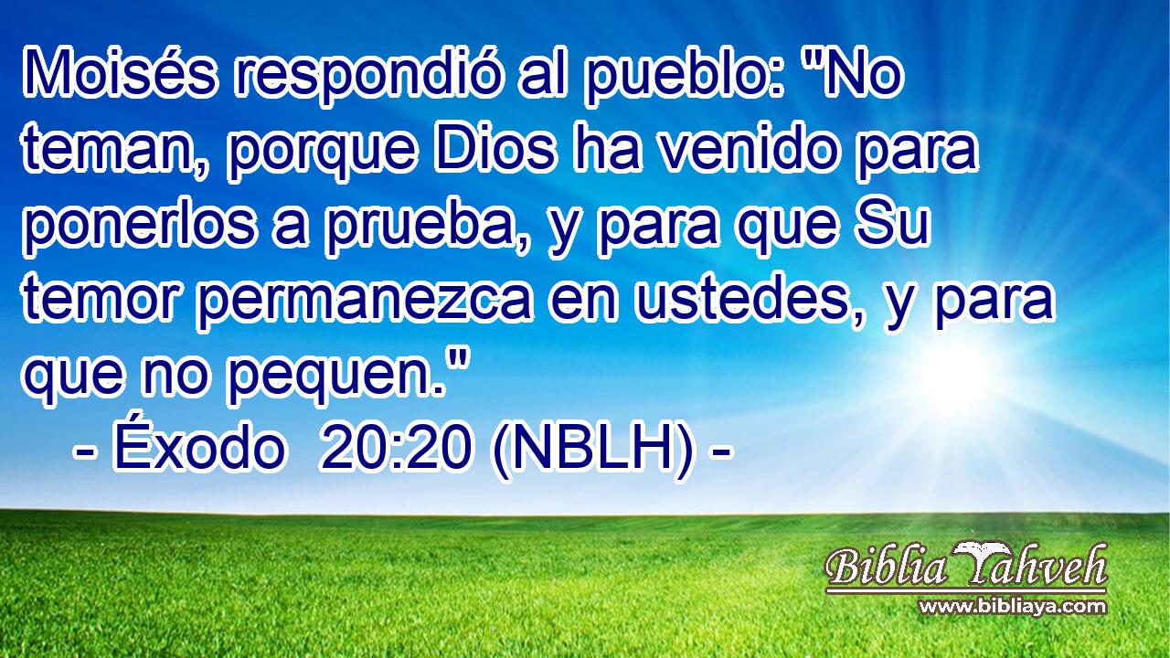  Moisés respondió al pueblo: 