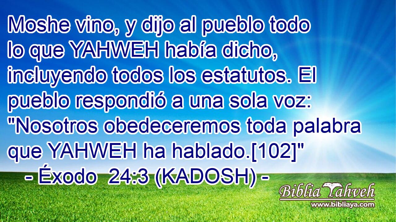  Moshe vino, y dijo al pueblo todo lo que YAHWEH había dicho, incluyendo todos los estatutos. El pueblo respondió a una sola voz: 