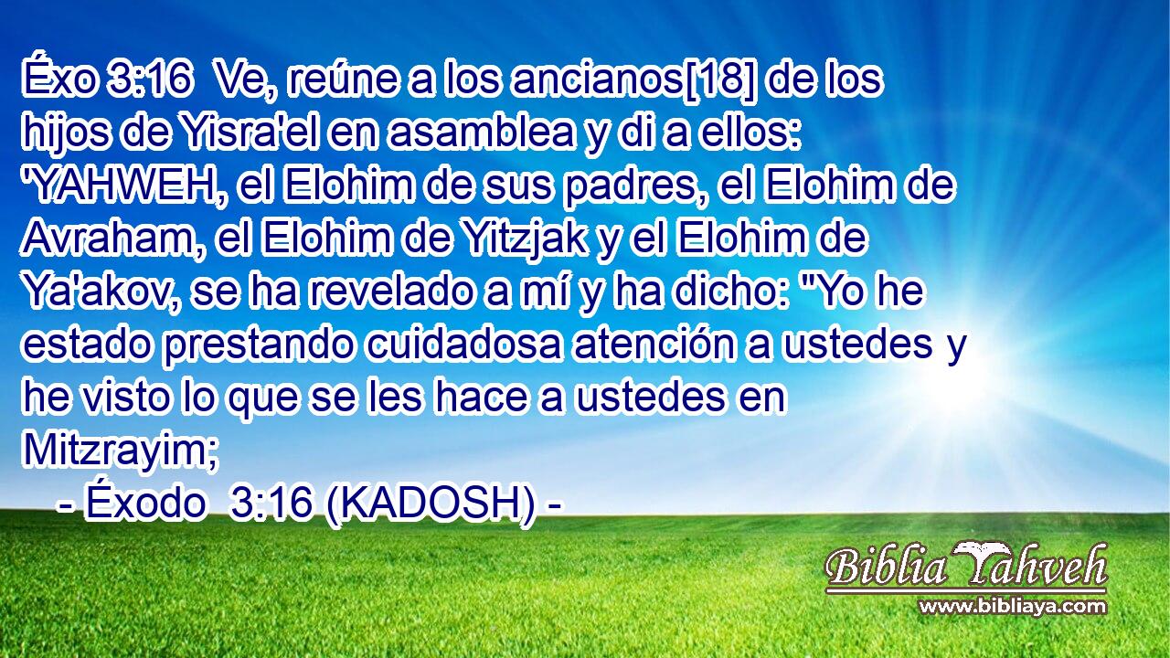  Ve, reúne a los ancianos[18] de los hijos de Yisra'el en asamblea y di a ellos: 'YAHWEH, el Elohim de sus padres, el Elohim de Avraham, el Elohim de Yitzjak y el Elohim de Ya'akov, se ha revelado a mí y ha dicho: 