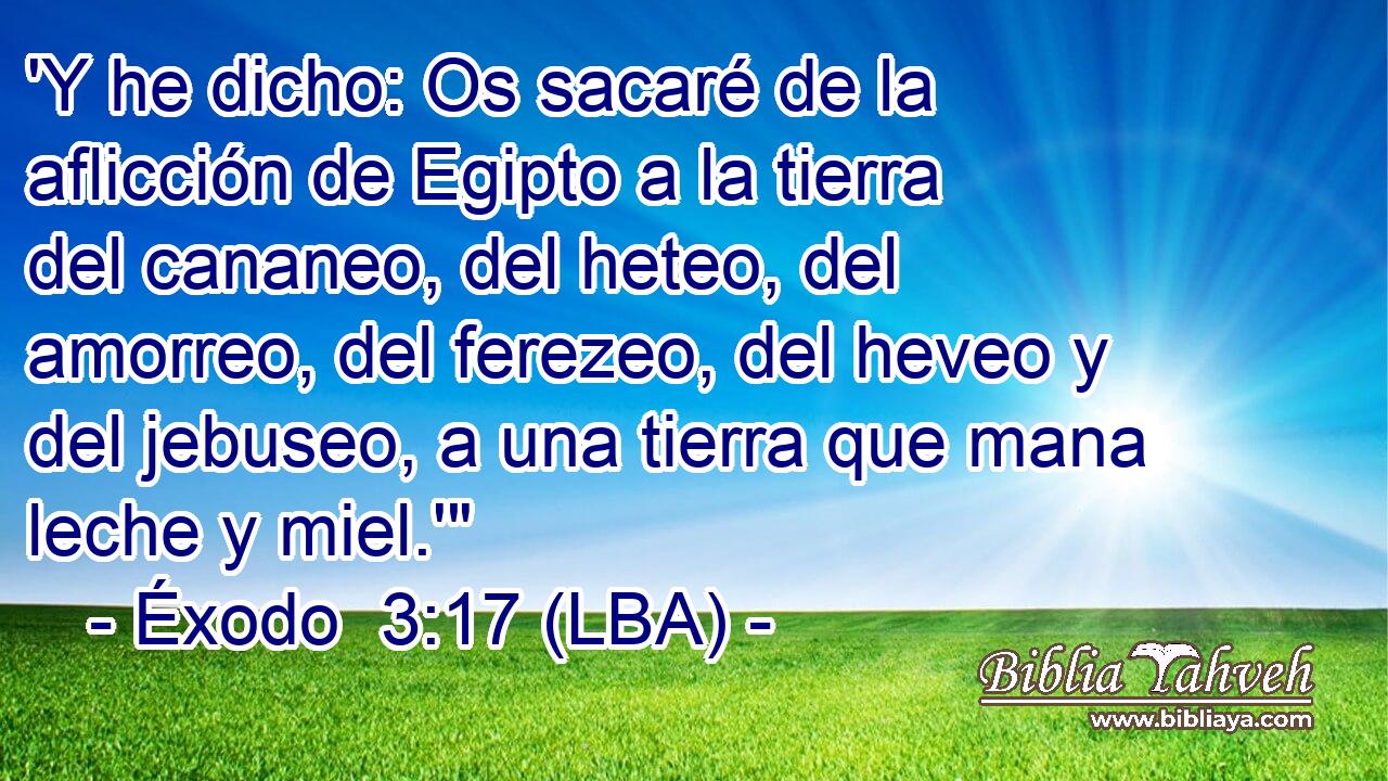 'Y he dicho: Os sacaré de la aflicción de Egipto a la tierra del cananeo, del heteo, del amorreo, del ferezeo, del heveo y del jebuseo, a una tierra que mana leche y miel.'