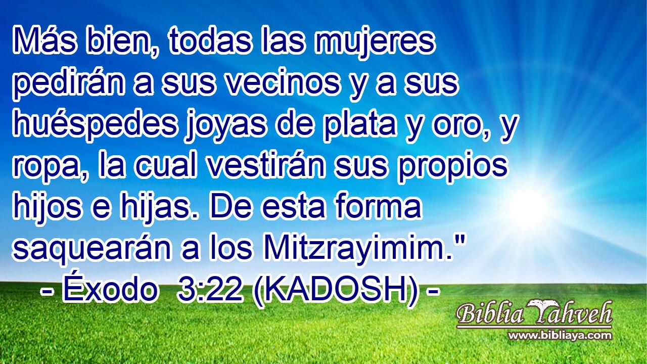  Más bien, todas las mujeres pedirán a sus vecinos y a sus huéspedes joyas de plata y oro, y ropa, la cual vestirán sus propios hijos e hijas. De esta forma saquearán a los Mitzrayimim.