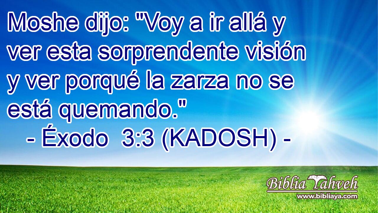 Moshe dijo: 