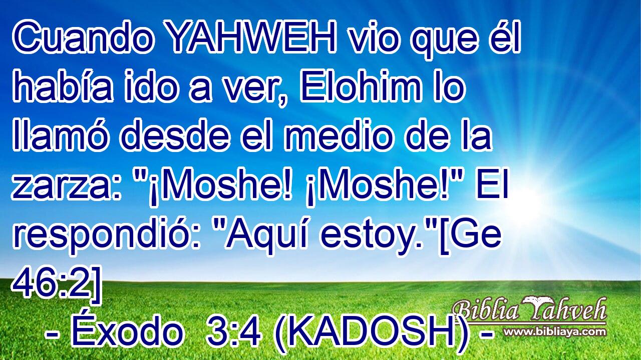  Cuando YAHWEH vio que él había ido a ver, Elohim lo llamó desde el medio de la zarza: 