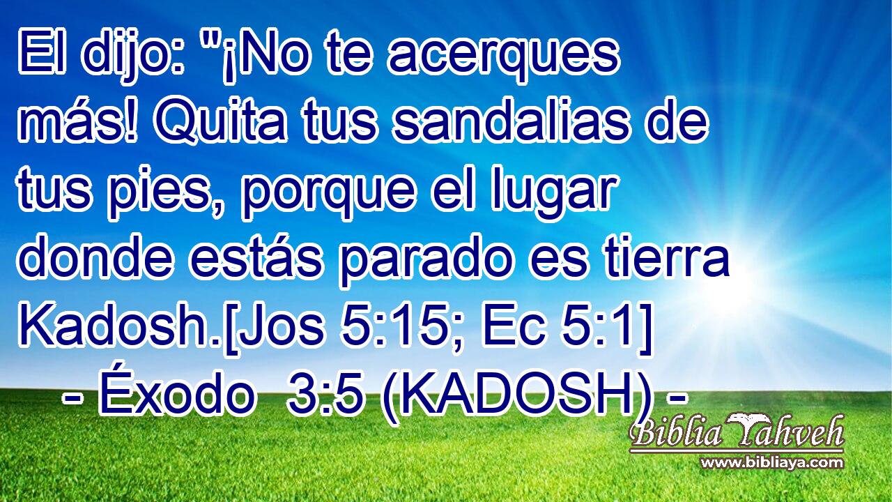  El dijo: 