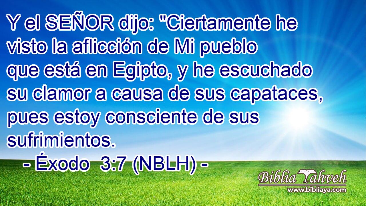  Y el SEÑOR dijo: 