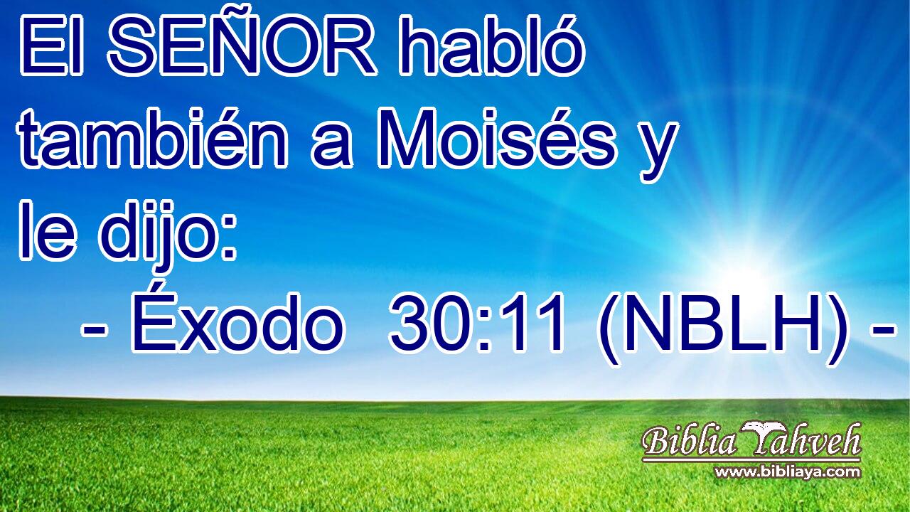  El SEÑOR habló también a Moisés y le dijo: 