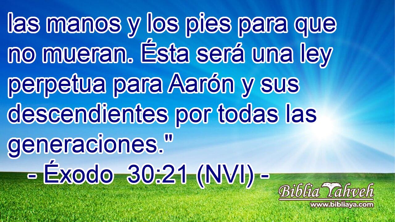  las manos y los pies para que no mueran. Ésta será una ley perpetua para Aarón y sus descendientes por todas las generaciones.