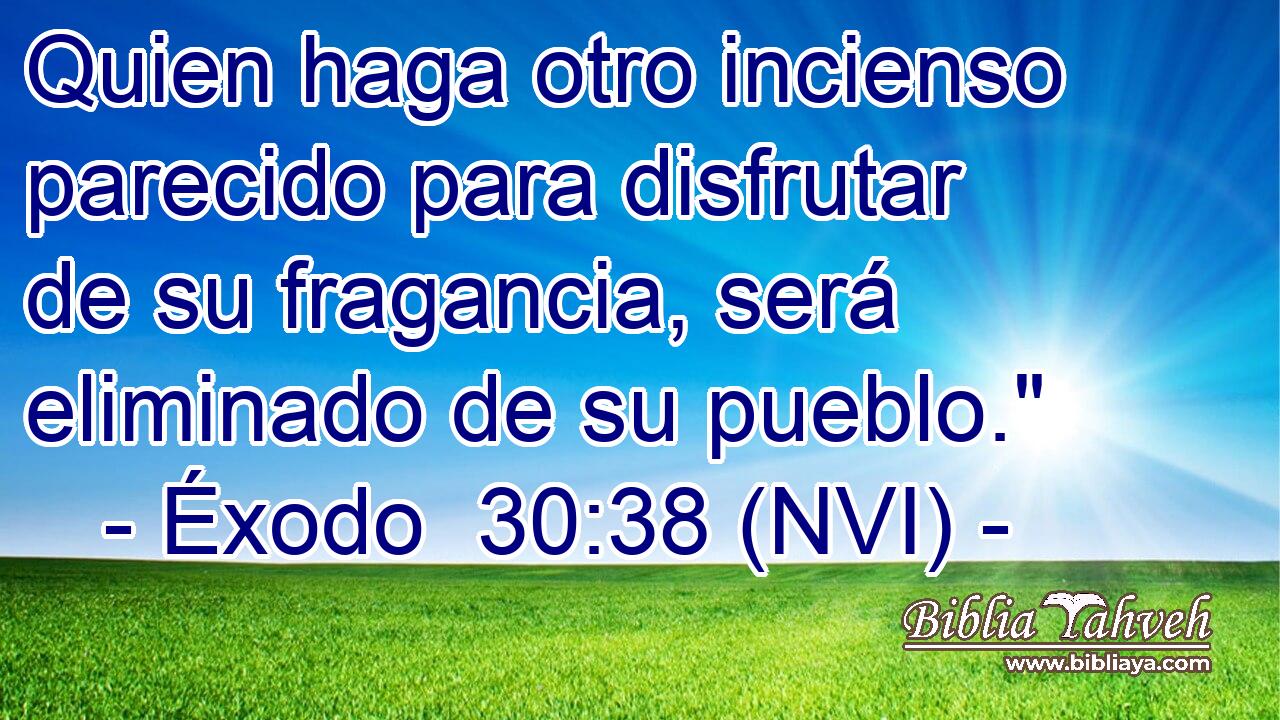  Quien haga otro incienso parecido para disfrutar de su fragancia, será eliminado de su pueblo.