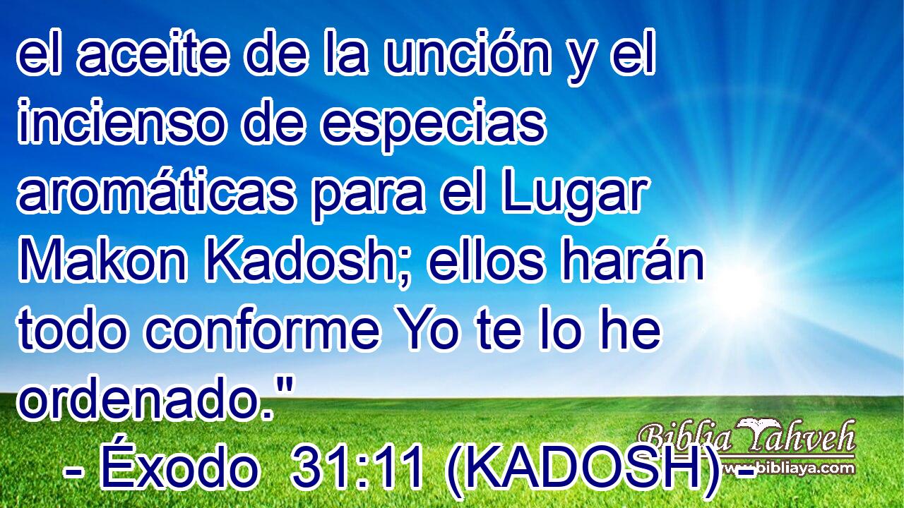 el aceite de la unción y el incienso de especias aromáticas para el Lugar Makon Kadosh; ellos harán todo conforme Yo te lo he ordenado.
