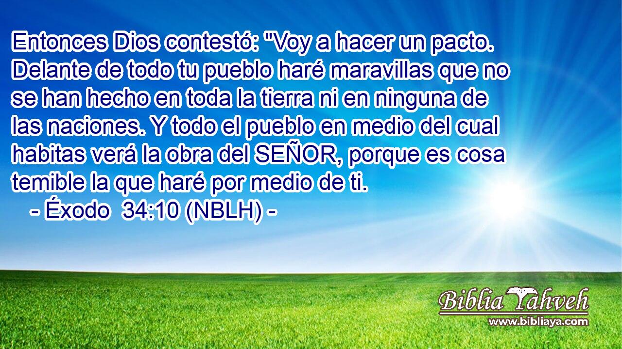  Entonces Dios contestó: 