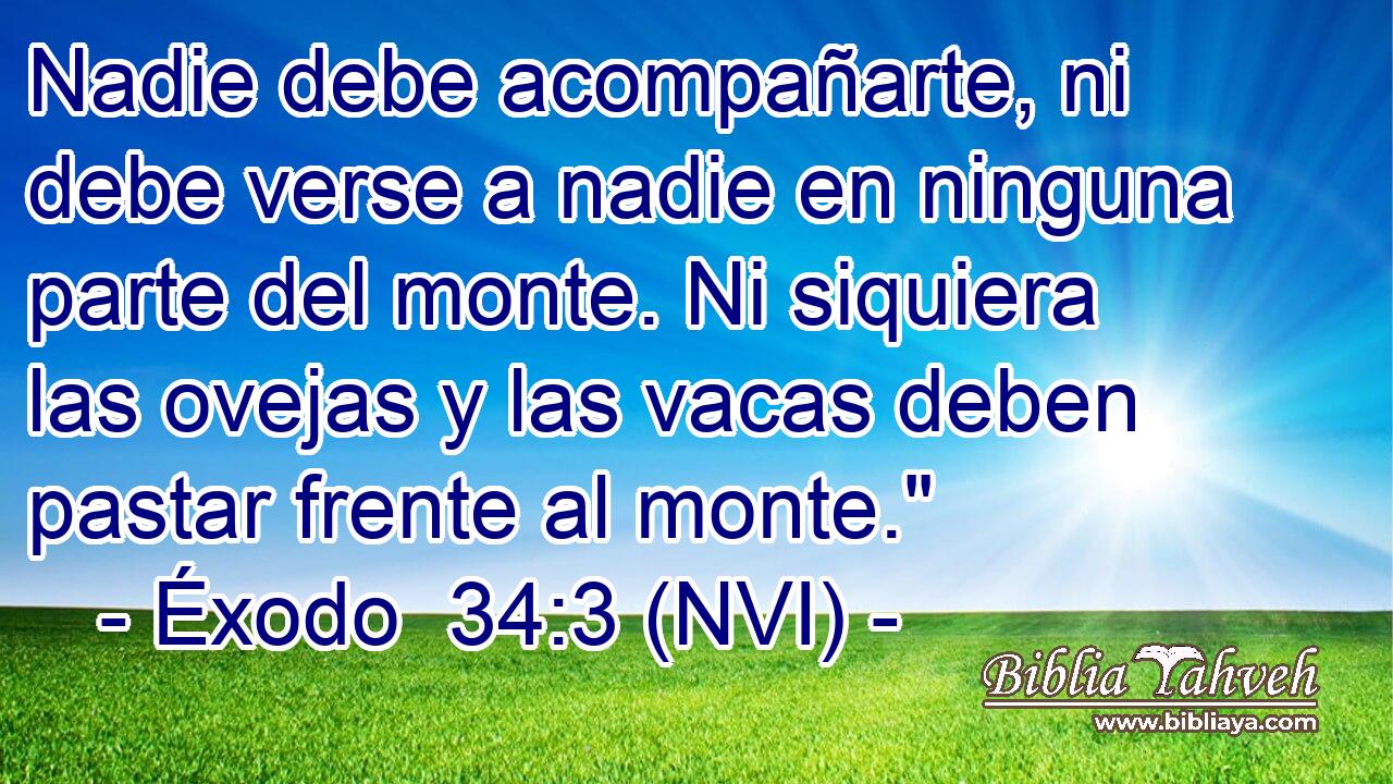  Nadie debe acompañarte, ni debe verse a nadie en ninguna parte del monte. Ni siquiera las ovejas y las vacas deben pastar frente al monte.