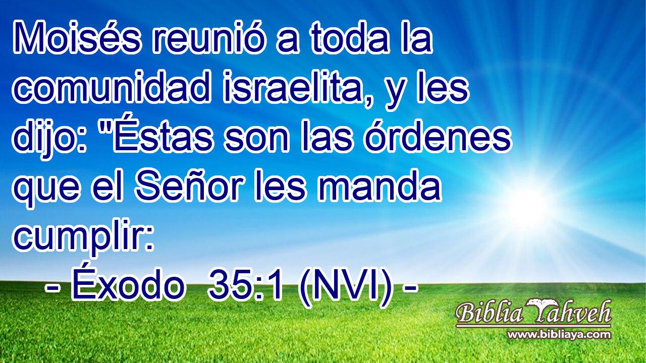  Moisés reunió a toda la comunidad israelita, y les dijo: 