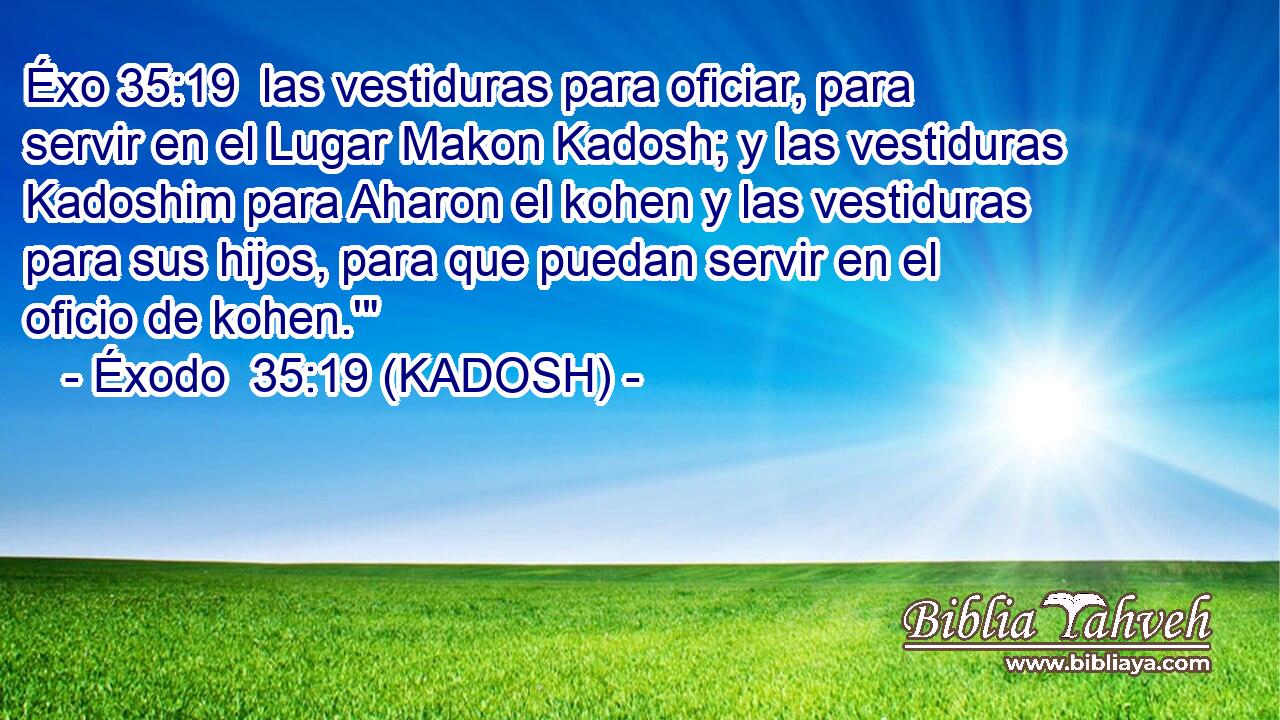  las vestiduras para oficiar, para servir en el Lugar Makon Kadosh; y las vestiduras Kadoshim para Aharon el kohen y las vestiduras para sus hijos, para que puedan servir en el oficio de kohen.'