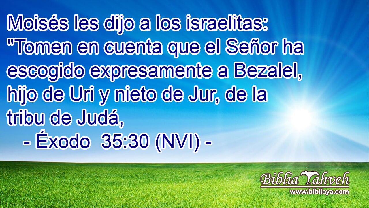  Moisés les dijo a los israelitas: 