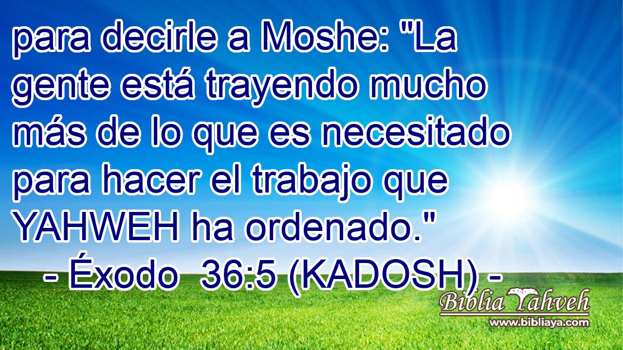 para decirle a Moshe: 
