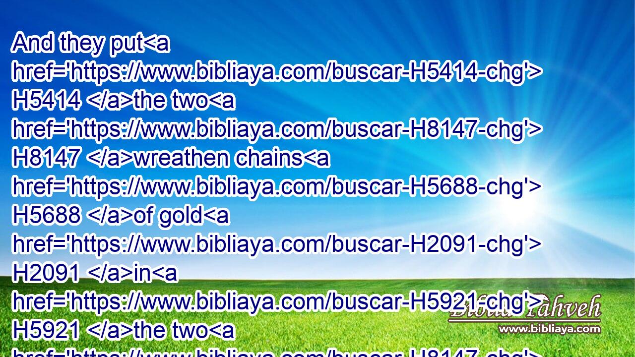 And they put H5414 the two H8147 wreathen chains H5688 of gold H2091 in H5921 the two H8147 rings H2885 on H5921 the ends H7098 of the breastplate.H2833