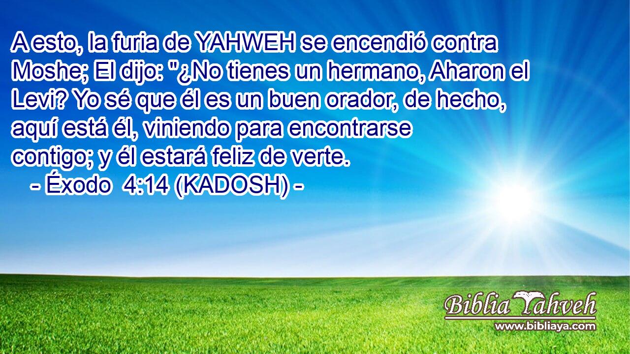  A esto, la furia de YAHWEH se encendió contra Moshe; El dijo: 