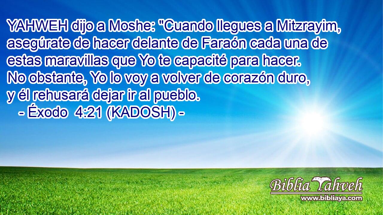  YAHWEH dijo a Moshe: 
