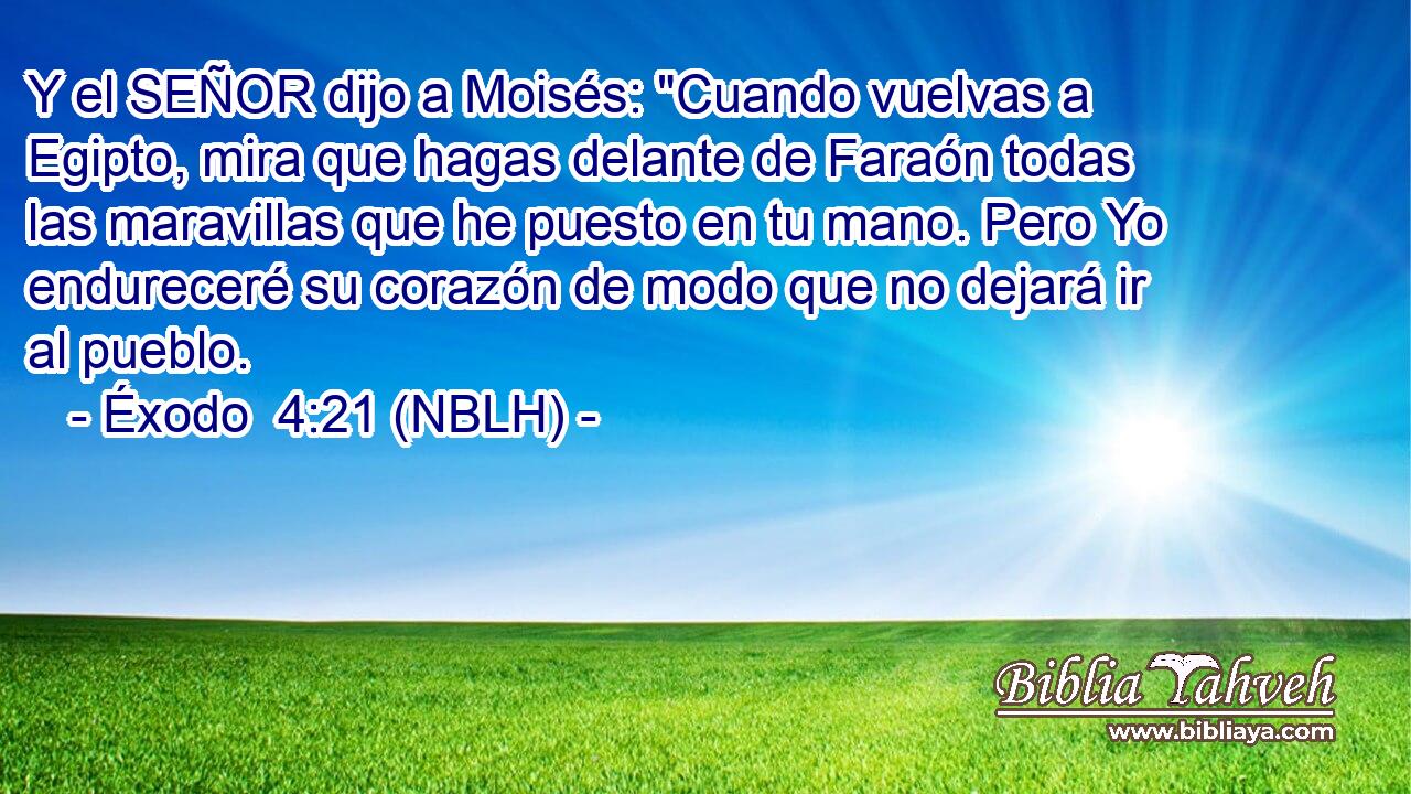  Y el SEÑOR dijo a Moisés: 