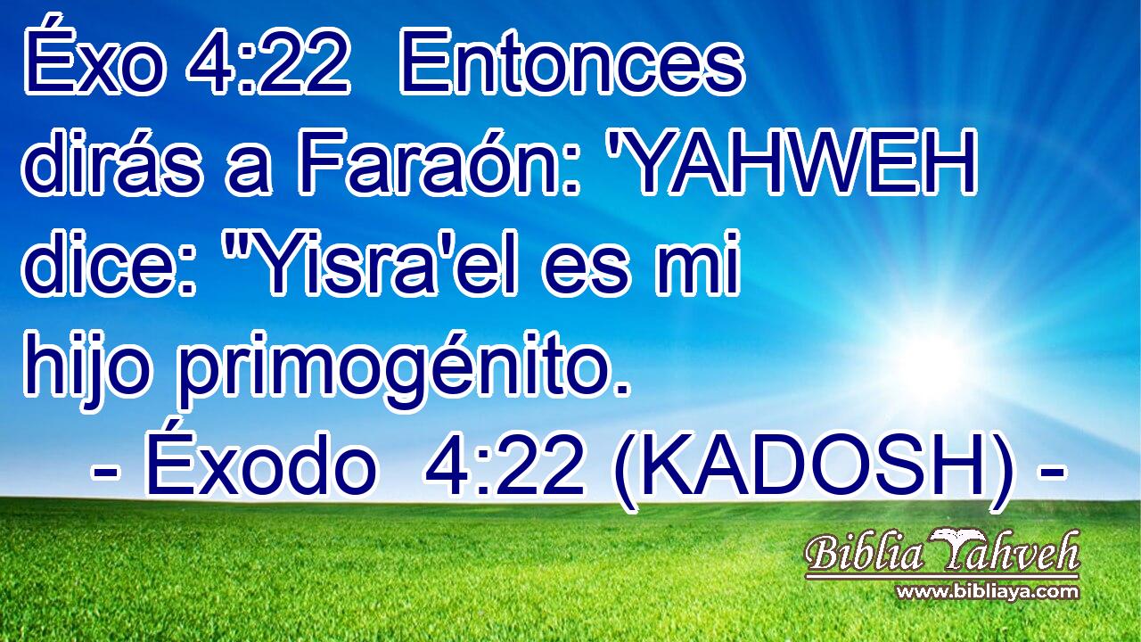  Entonces dirás a Faraón: 'YAHWEH dice: 