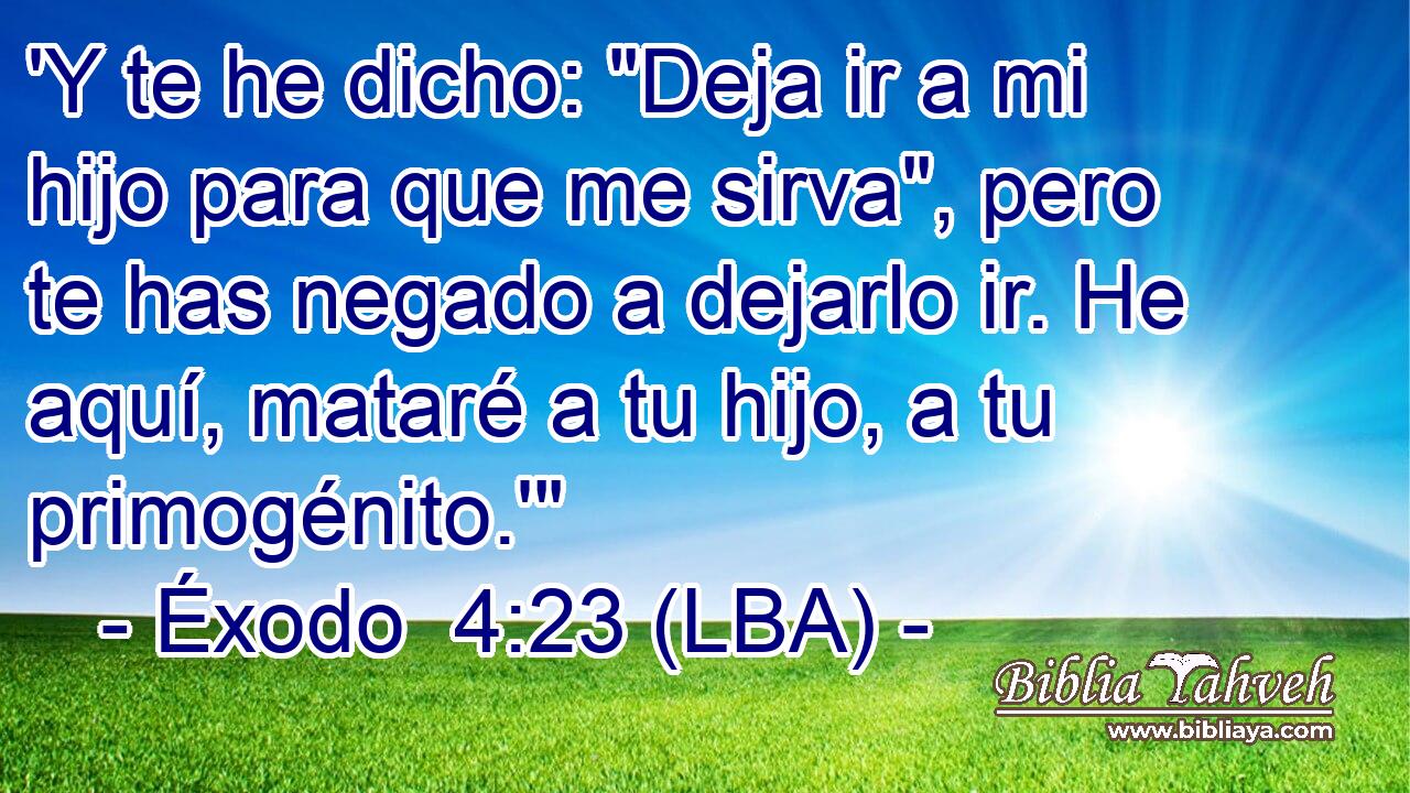'Y te he dicho: 