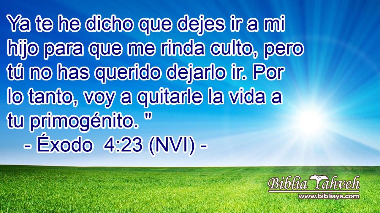  Ya te he dicho que dejes ir a mi hijo para que me rinda culto, pero tú no has querido dejarlo ir. Por lo tanto, voy a quitarle la vida a tu primogénito. 