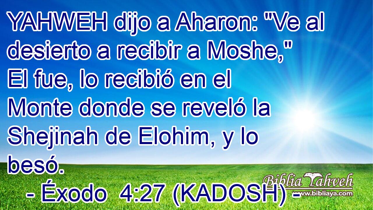  YAHWEH dijo a Aharon: 