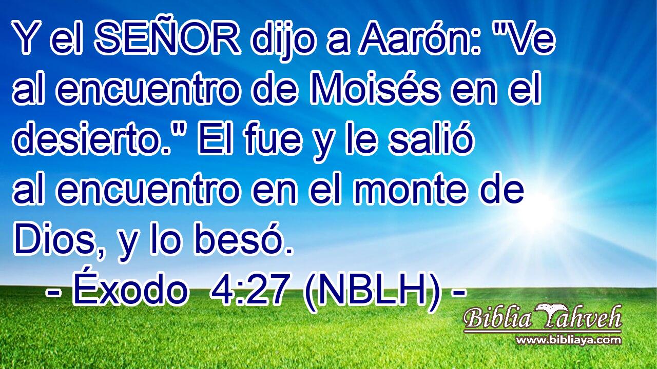  Y el SEÑOR dijo a Aarón: 