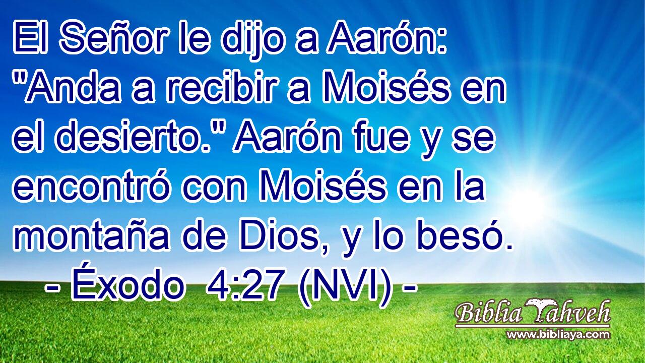  El Señor le dijo a Aarón: 