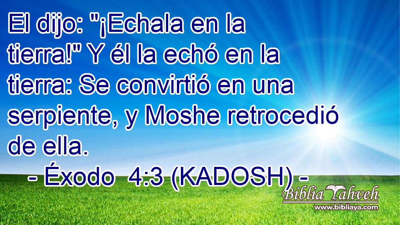  El dijo: 