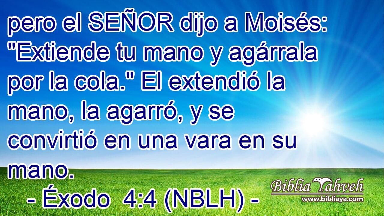  pero el SEÑOR dijo a Moisés: 