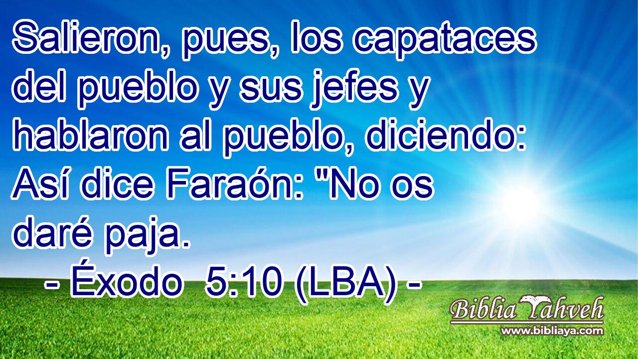 Salieron, pues, los capataces del pueblo y sus jefes y hablaron al pueblo, diciendo: Así dice Faraón: 