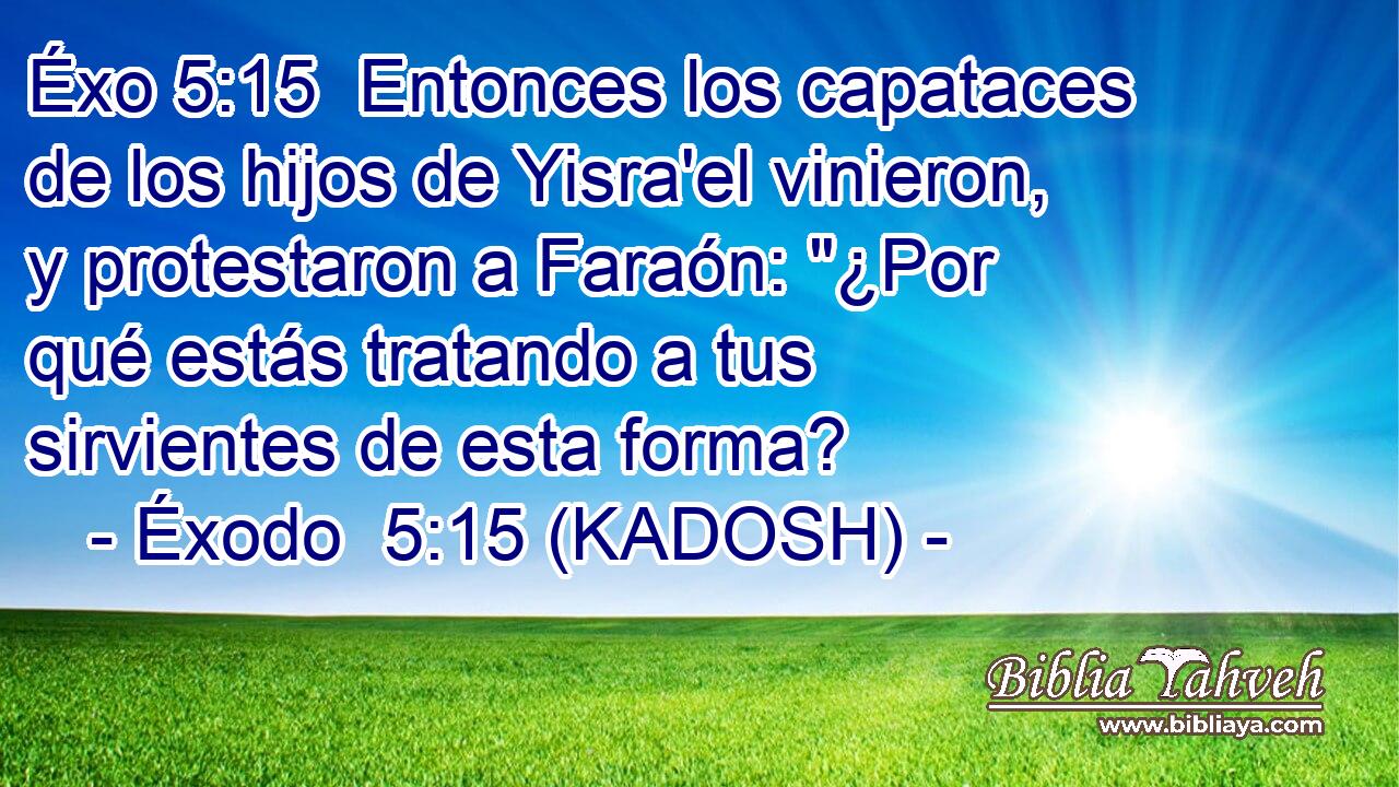  Entonces los capataces de los hijos de Yisra'el vinieron, y protestaron a Faraón: 