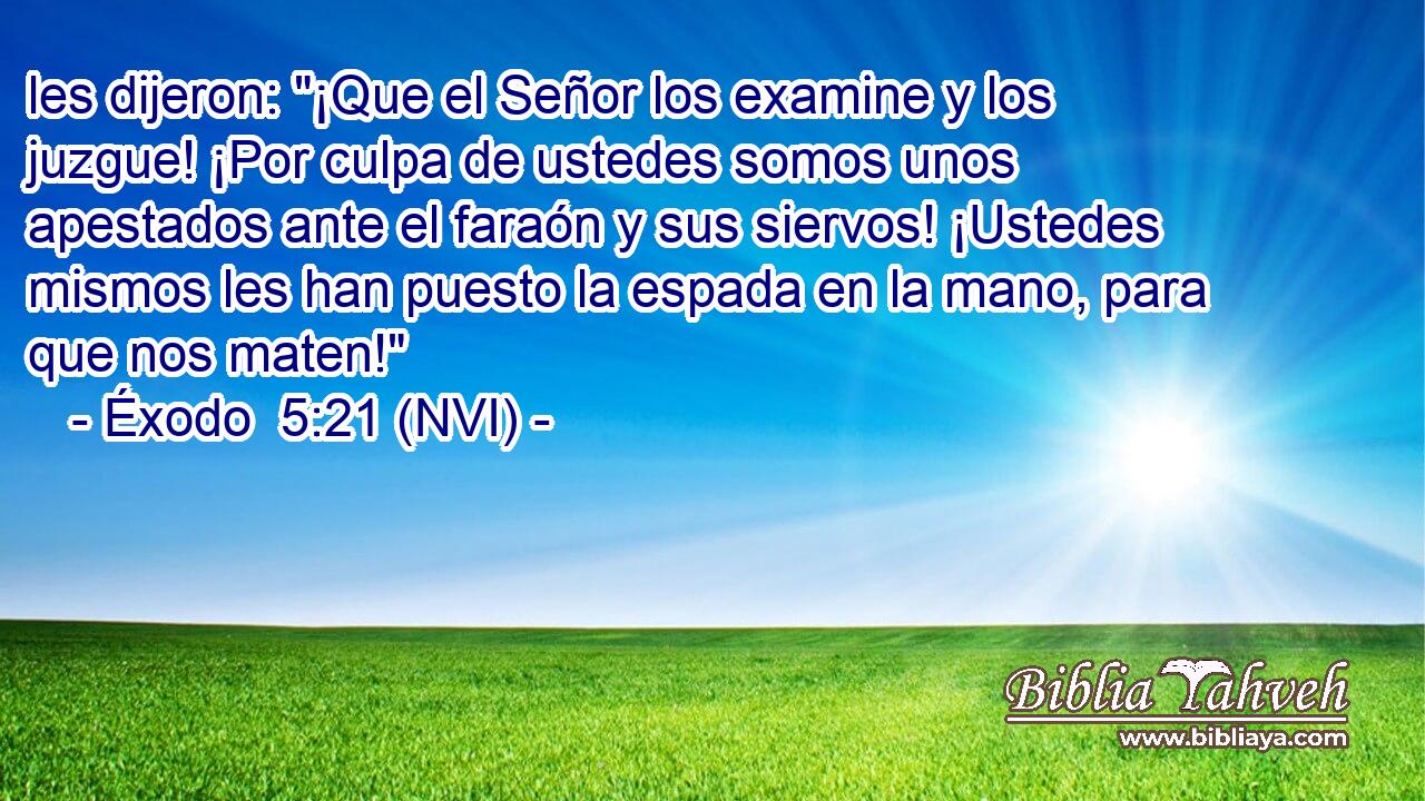 les dijeron: 