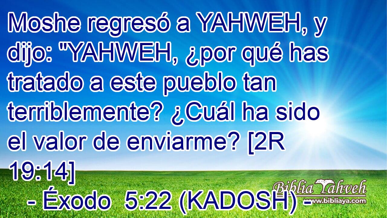  Moshe regresó a YAHWEH, y dijo: 