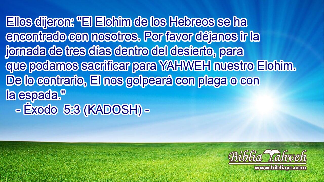  Ellos dijeron: 