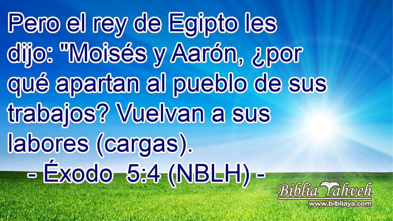  Pero el rey de Egipto les dijo: 