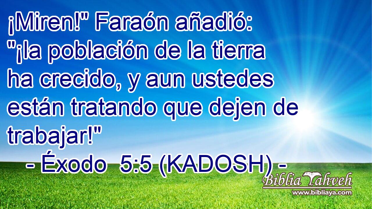  ¡Miren!
