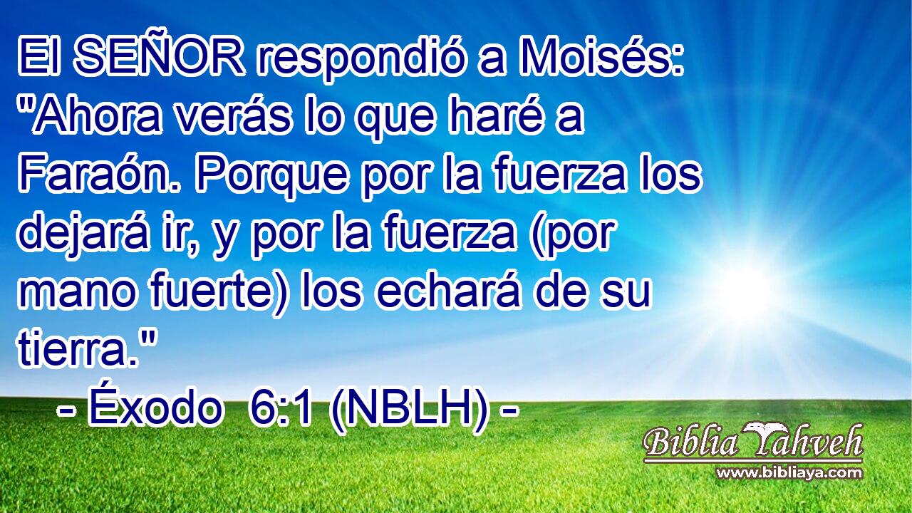  El SEÑOR respondió a Moisés: 