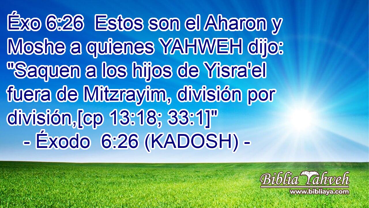  Estos son el Aharon y Moshe a quienes YAHWEH dijo: 