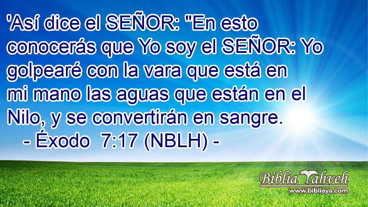  'Así dice el SEÑOR: 