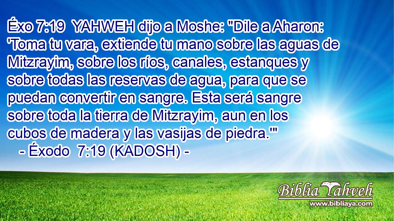  YAHWEH dijo a Moshe: 