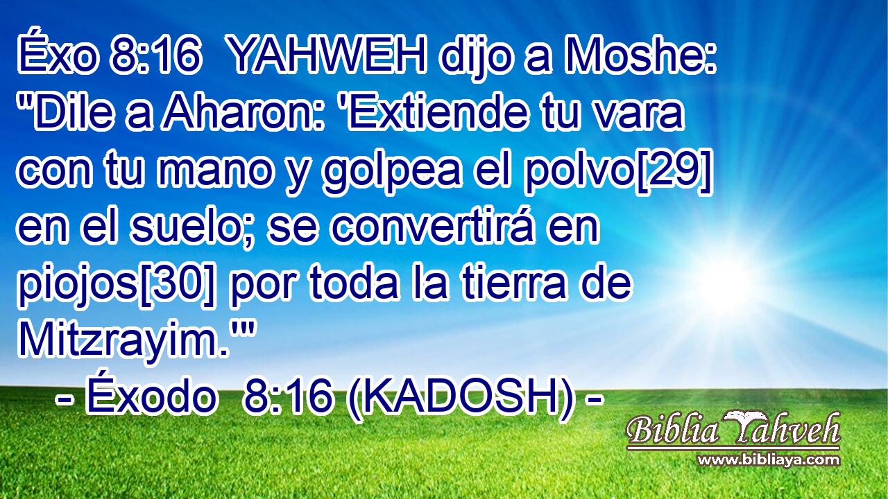  YAHWEH dijo a Moshe: 