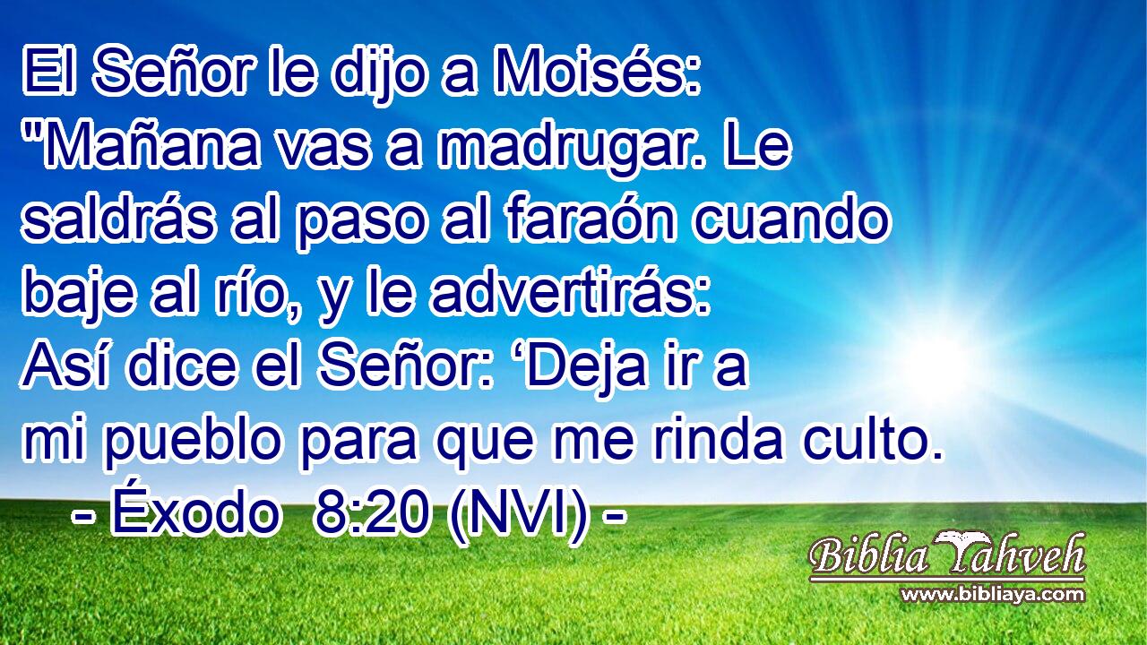  El Señor le dijo a Moisés: 