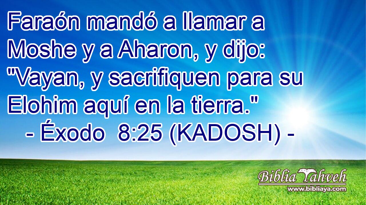  Faraón mandó a llamar a Moshe y a Aharon, y dijo: 