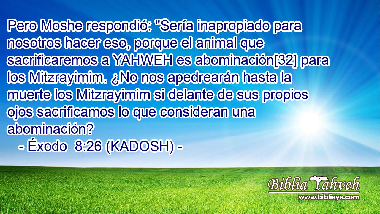  Pero Moshe respondió: 