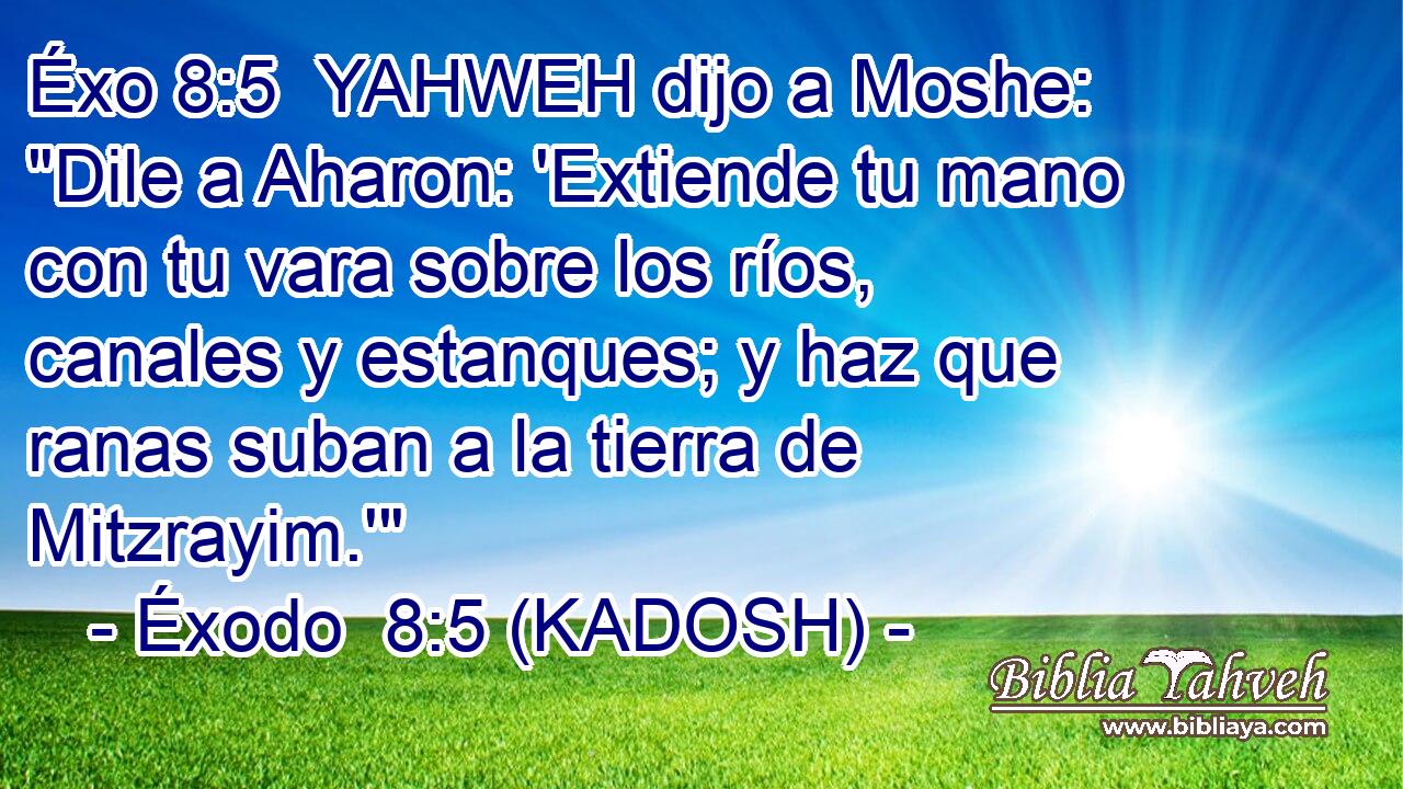  YAHWEH dijo a Moshe: 